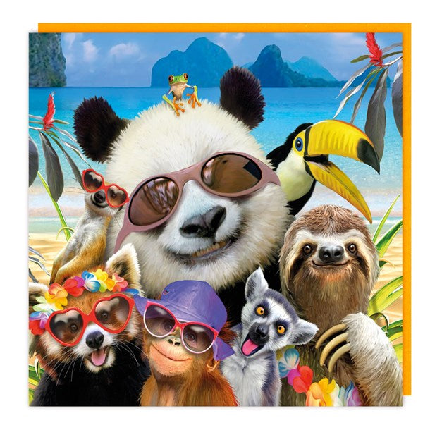 Panda/ Toucan/ Sloth Lenticular 3D Blank Card