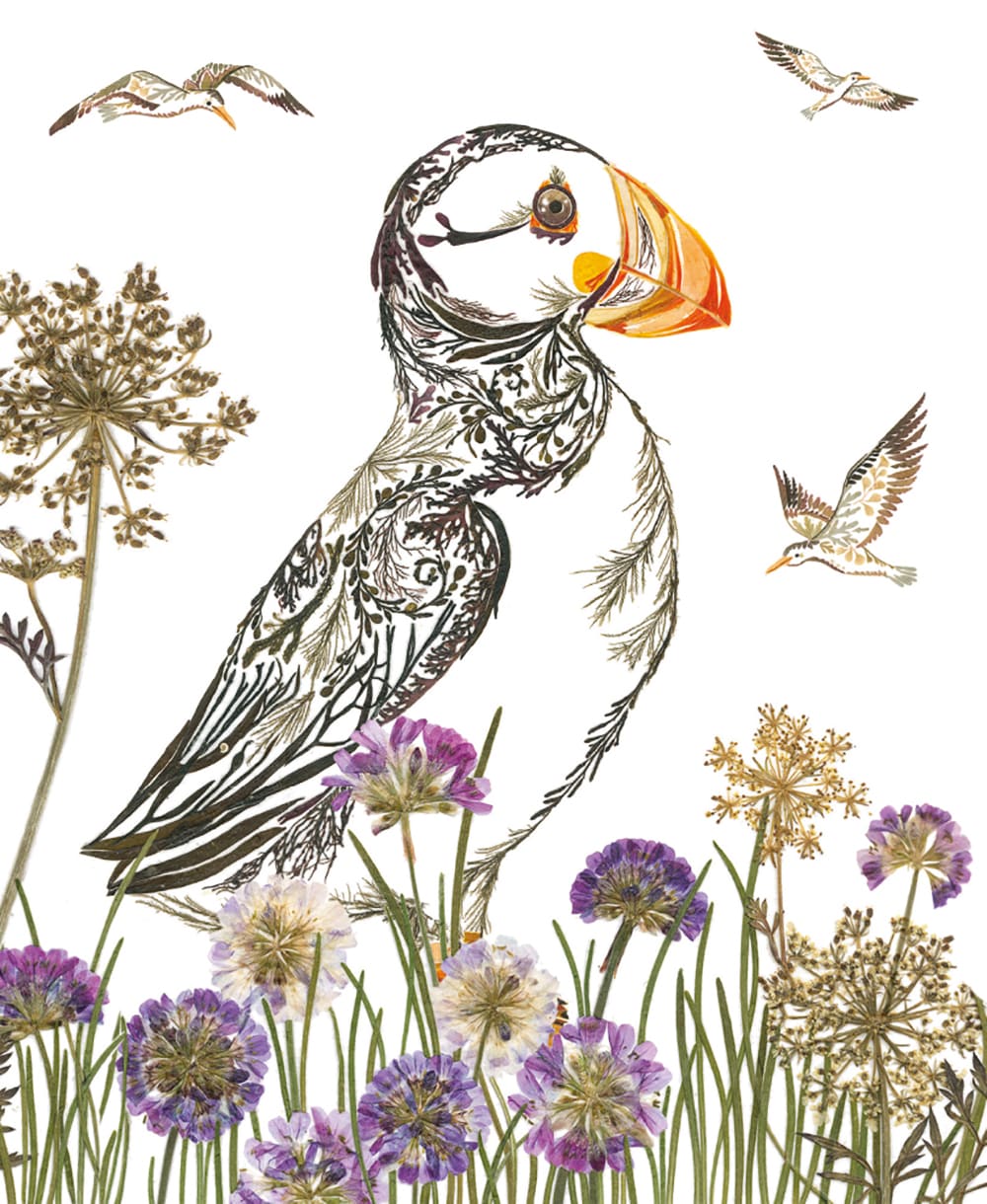 Proud Puffin Card