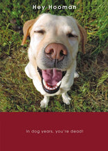Load image into Gallery viewer, Smiling Dog Birthday Card
