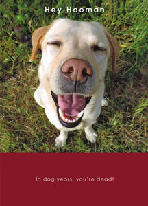 Smiling Dog Birthday Card
