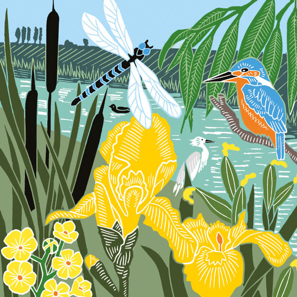 Kingfisher & Dragonfly Blank Card