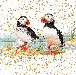 Puffin Blank Birthday Card