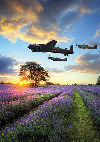 Plane Over Lavender Fields Card