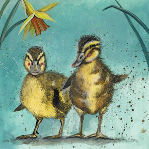 Ducklings Blank Card