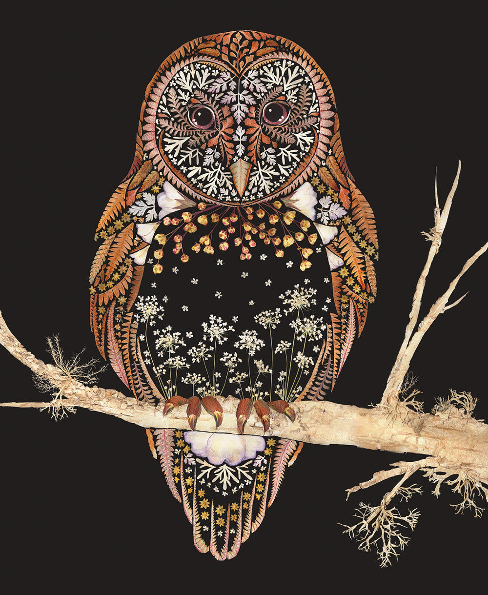 Dried Flowers/Leaves/Seaweed Barn Owl Card