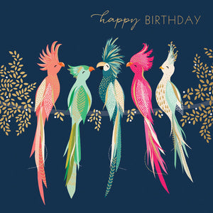 Parrot Birthday Card