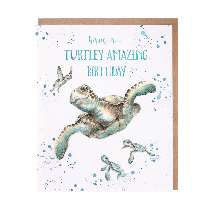 Turtle Birthday Card by Wrendale Designs