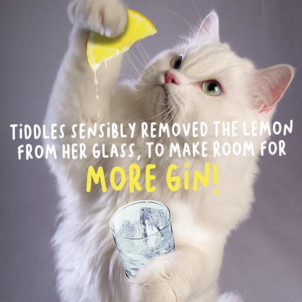 More Room For Gin Birthday Card