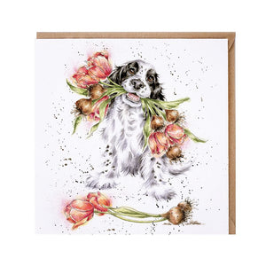 Springer Puppy Blank Card by Wrendale Designs