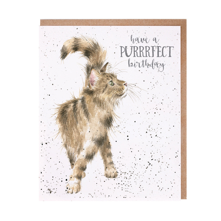 Tabby Cat Birthday Card by Wrendale Designs