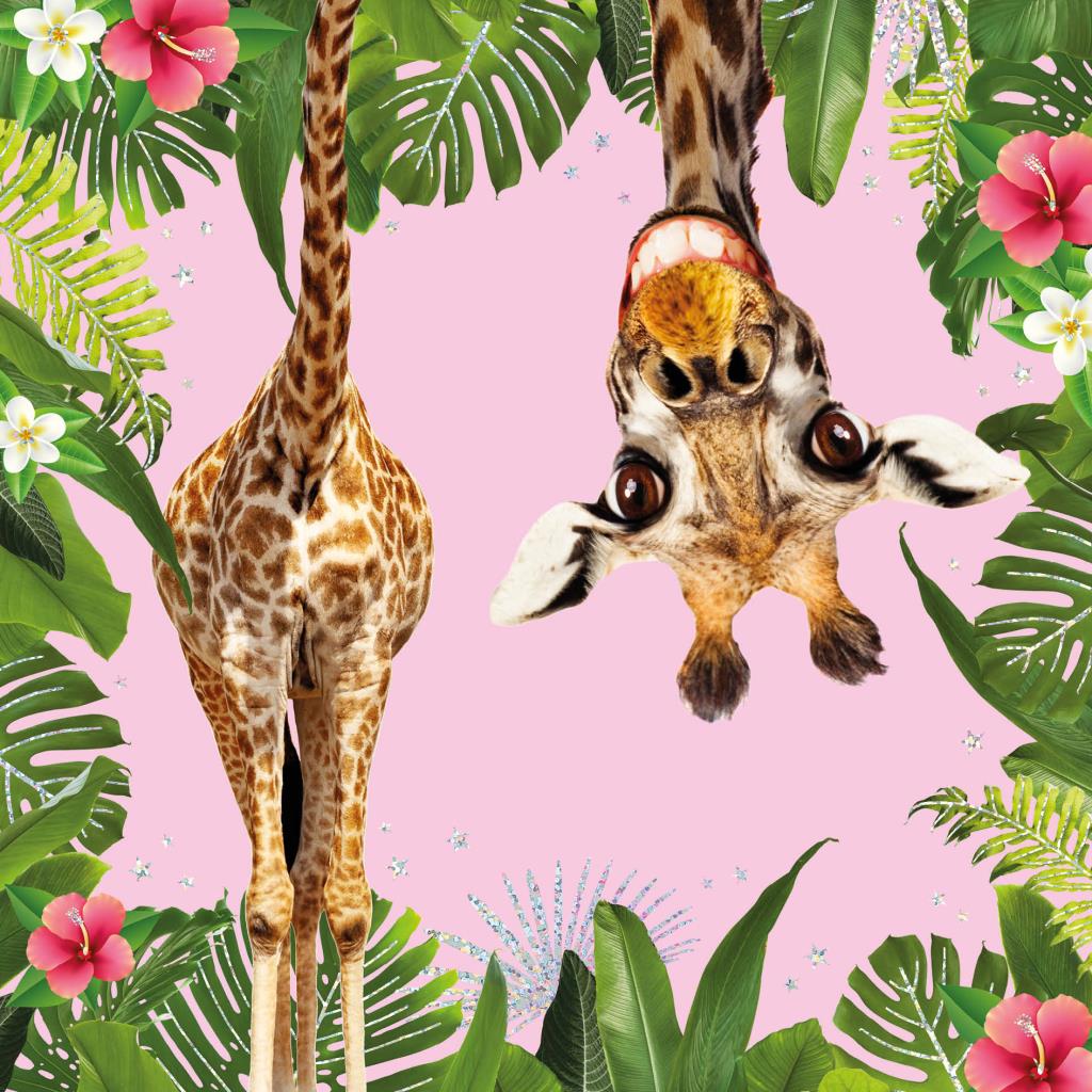 Giraffe Birthday Card