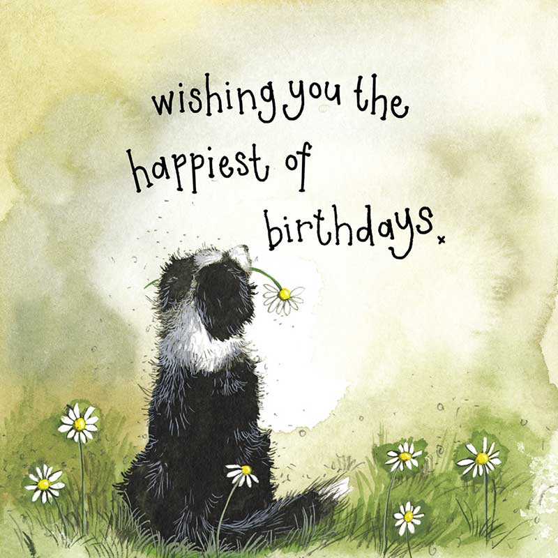 Collie Birthday Card