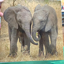 Load image into Gallery viewer, Elephant Blank Card
