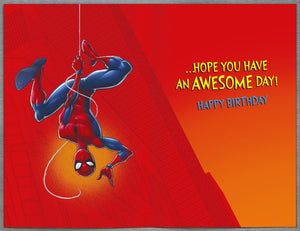 Brother Spider-man Birthday Card