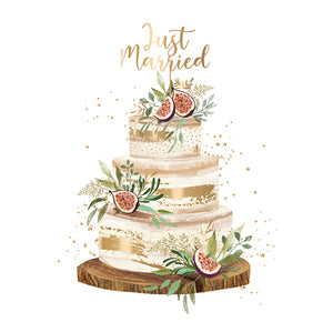 Just Married Wedding Card