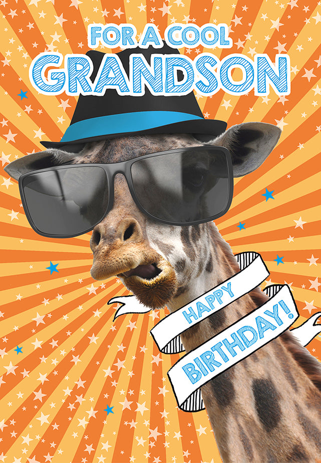 Grandson Birthday Card