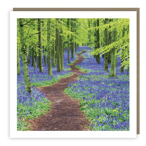 Bluebell Wood Card