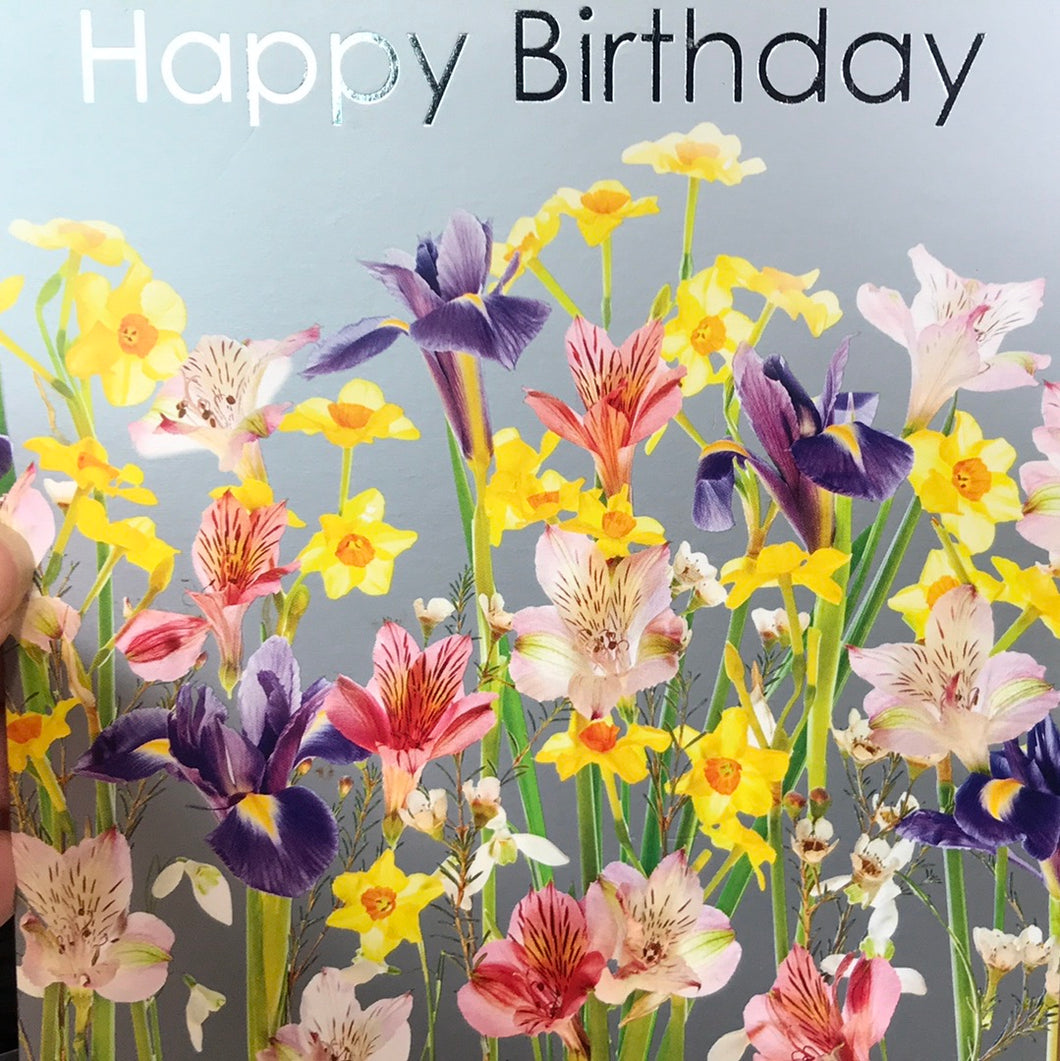 Original Poster Company Silver Cards