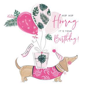 Sausage Dog Dachshund Birthday Card