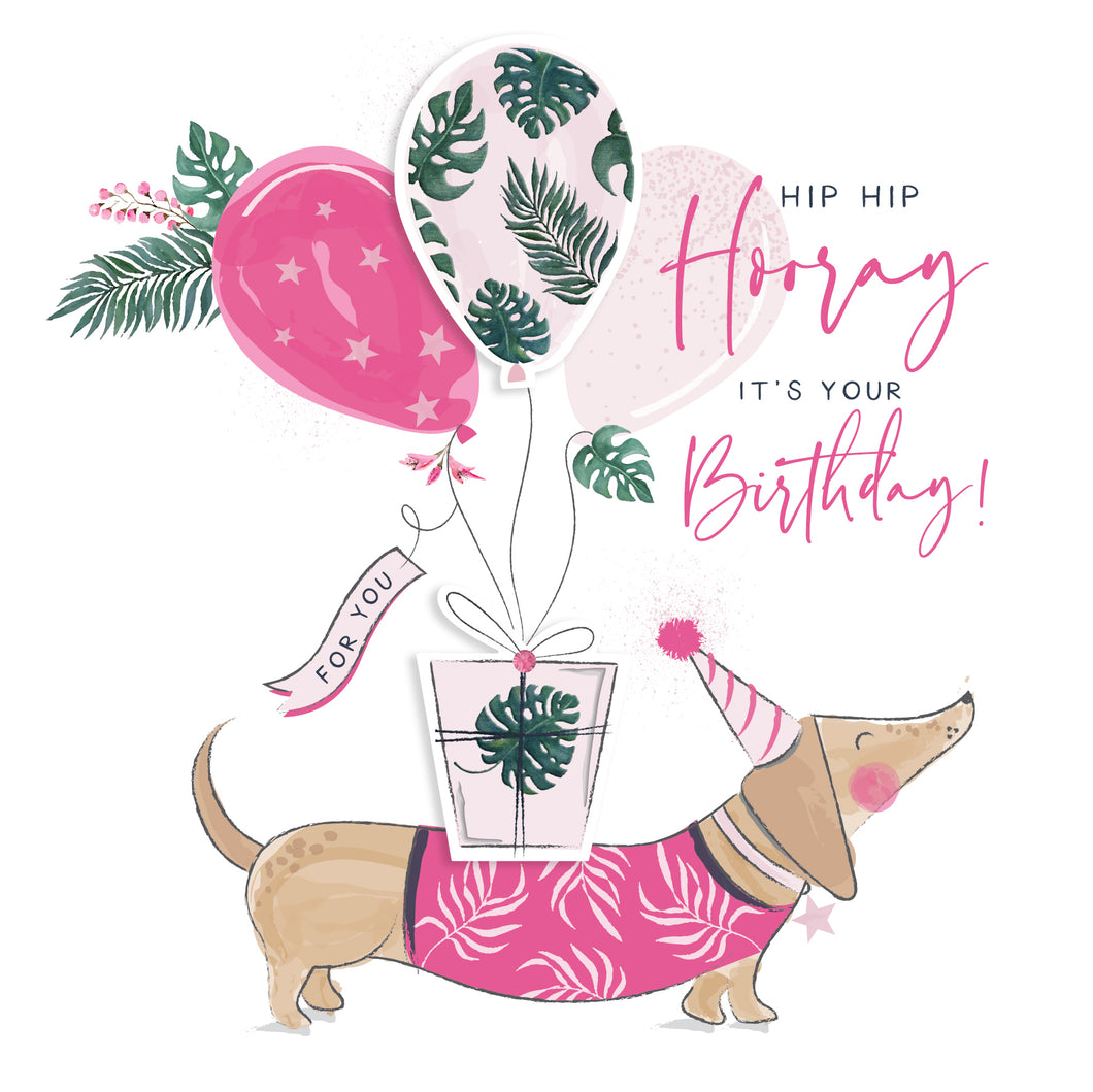 Sausage Dog Dachshund Birthday Card