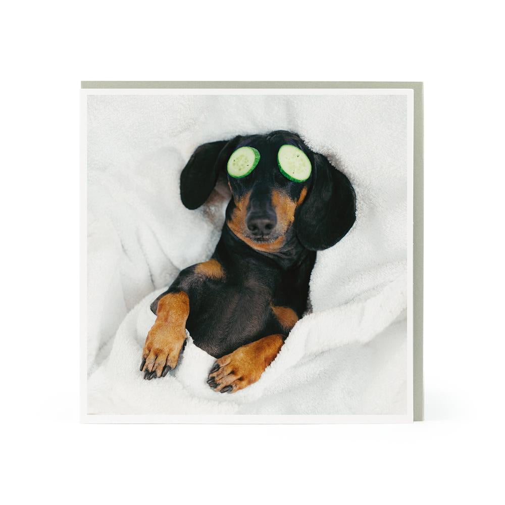 Dachshund At The Spa Blank Card