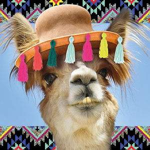 Llama Card