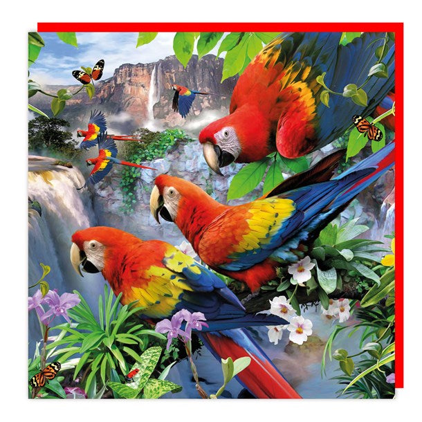 Parrot Blank Lenticular 3D Card