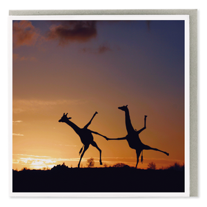 Dancing Giraffes Blank Card