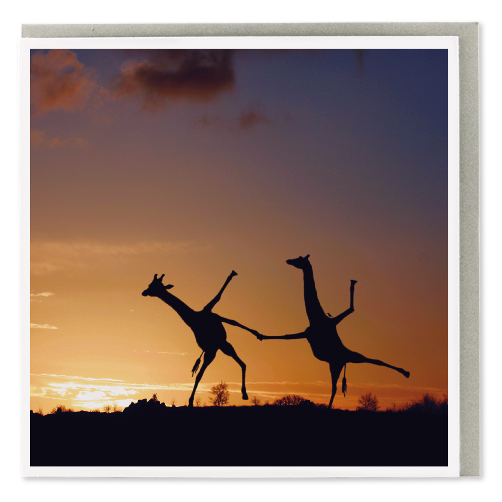 Dancing Giraffes Blank Card