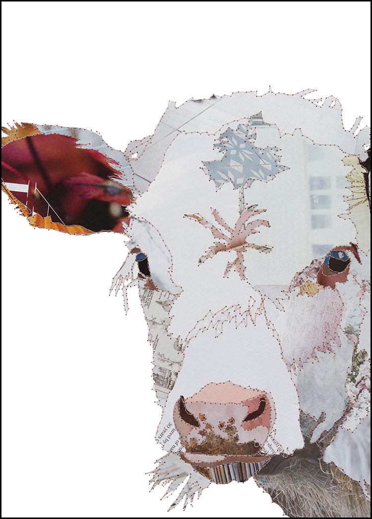 Calf Greeting Card