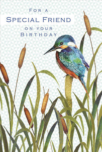 Special Friend Kingfisher Birthday Card