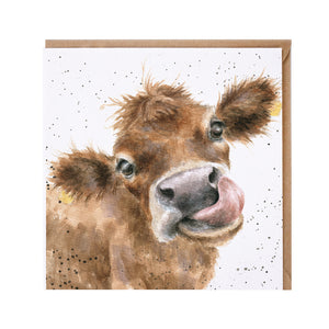 Cow Blank Card by Wrendale Designs