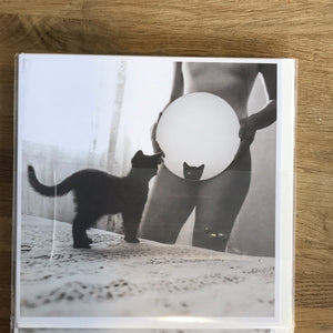 Kitten Blank Card