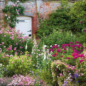 National Trust  Cottage Garden Blank Card