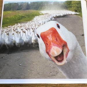 Goose Blank Card