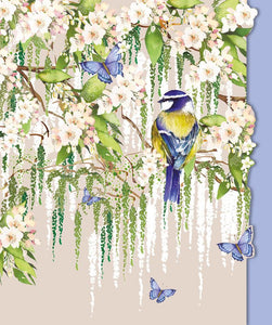 Catkin & Bluetit Birthday Card