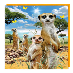 Meerkat Lenticular 3D Birthday Card