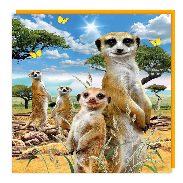 Meerkat Lenticular 3D Birthday Card