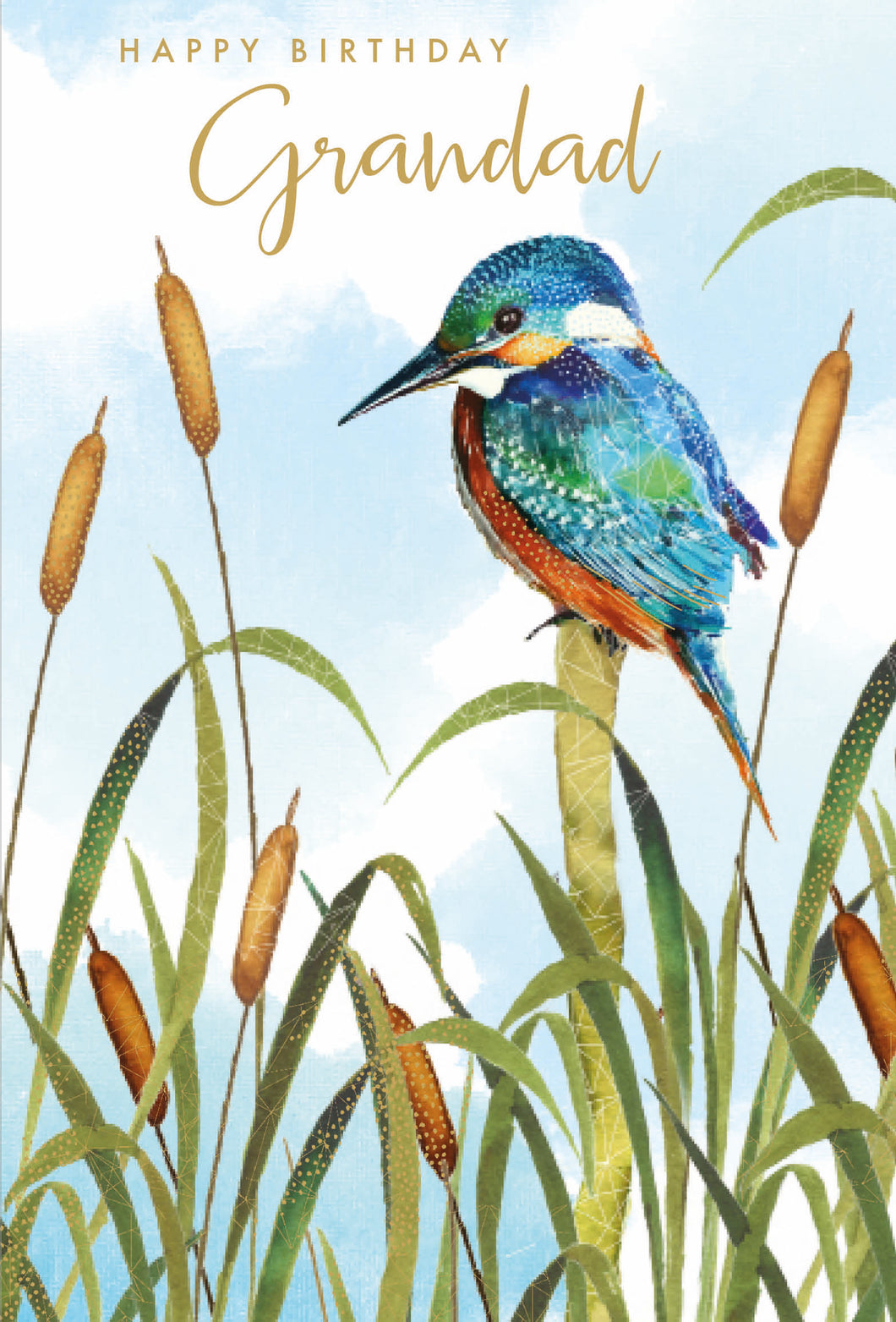 Grandad Kingfisher Birthday Card