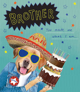 Brother Birthday Card