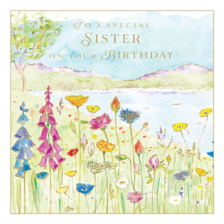 Special Sister Birthday Card