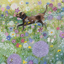 Load image into Gallery viewer, In The Garden by Lucy Grossmith Pack of 8 Notecards
