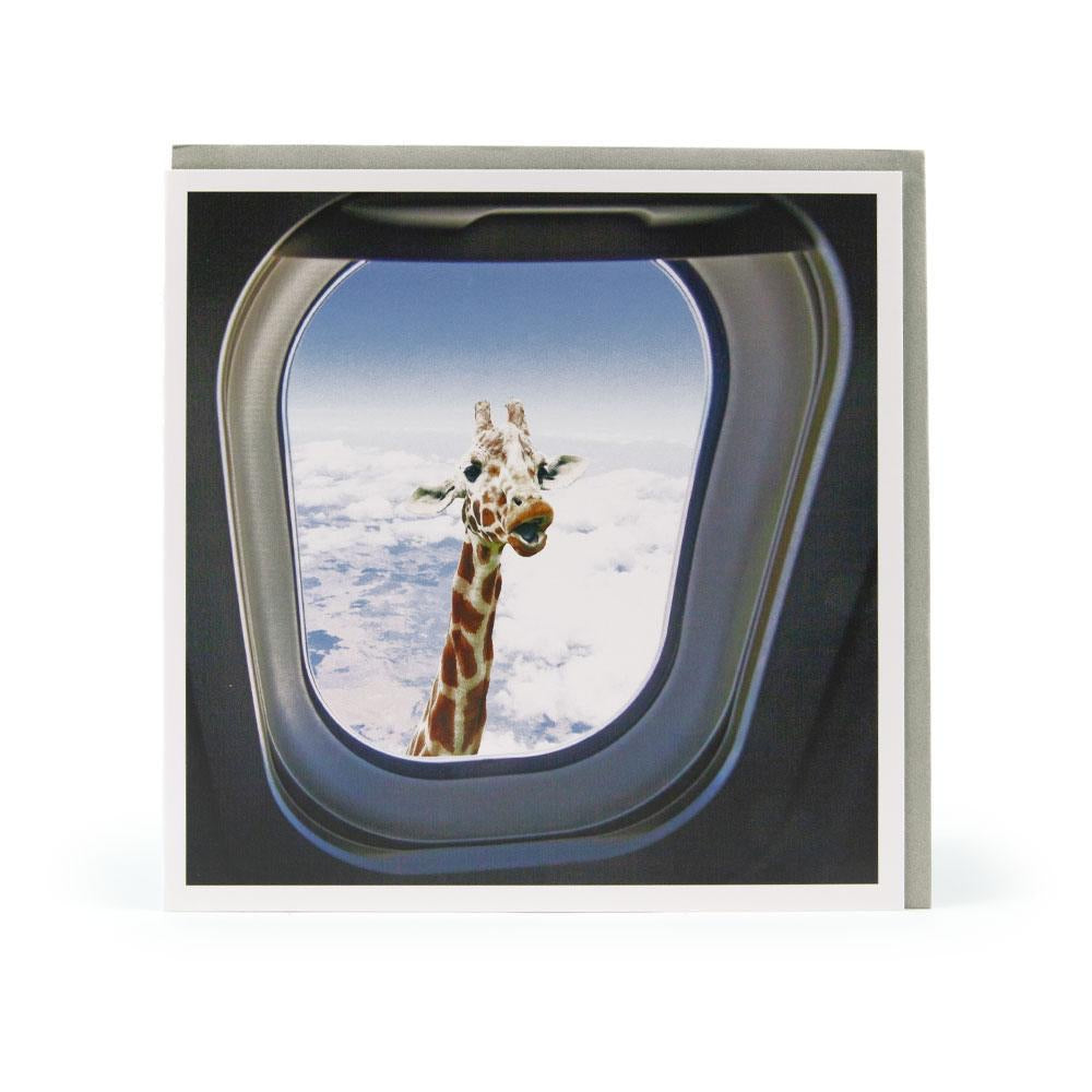 Giraffe Smiling Through Plane Window Blank Card