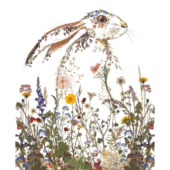 Hare Pressed Flower Card